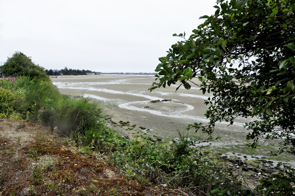 Siletz Bay